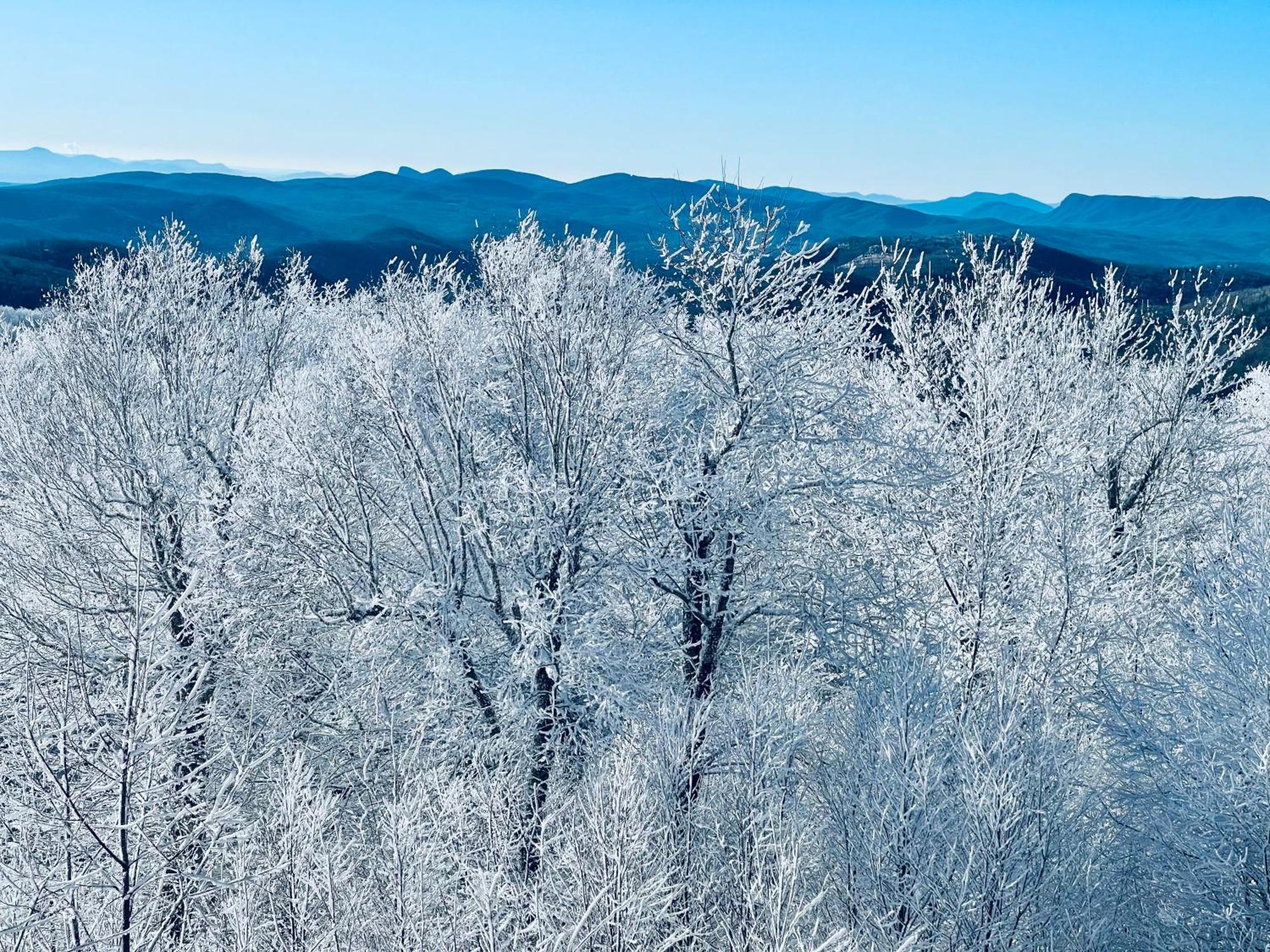 Bucket List Views Sugar Mountain Private Condo - 2Bed, 2Bath, Sleeps 6, Panoramic Views Of Mountains From Large Deck, Short Drive To Shopping, Restaurants, Cafes & Banner Elk Town Eksteriør billede