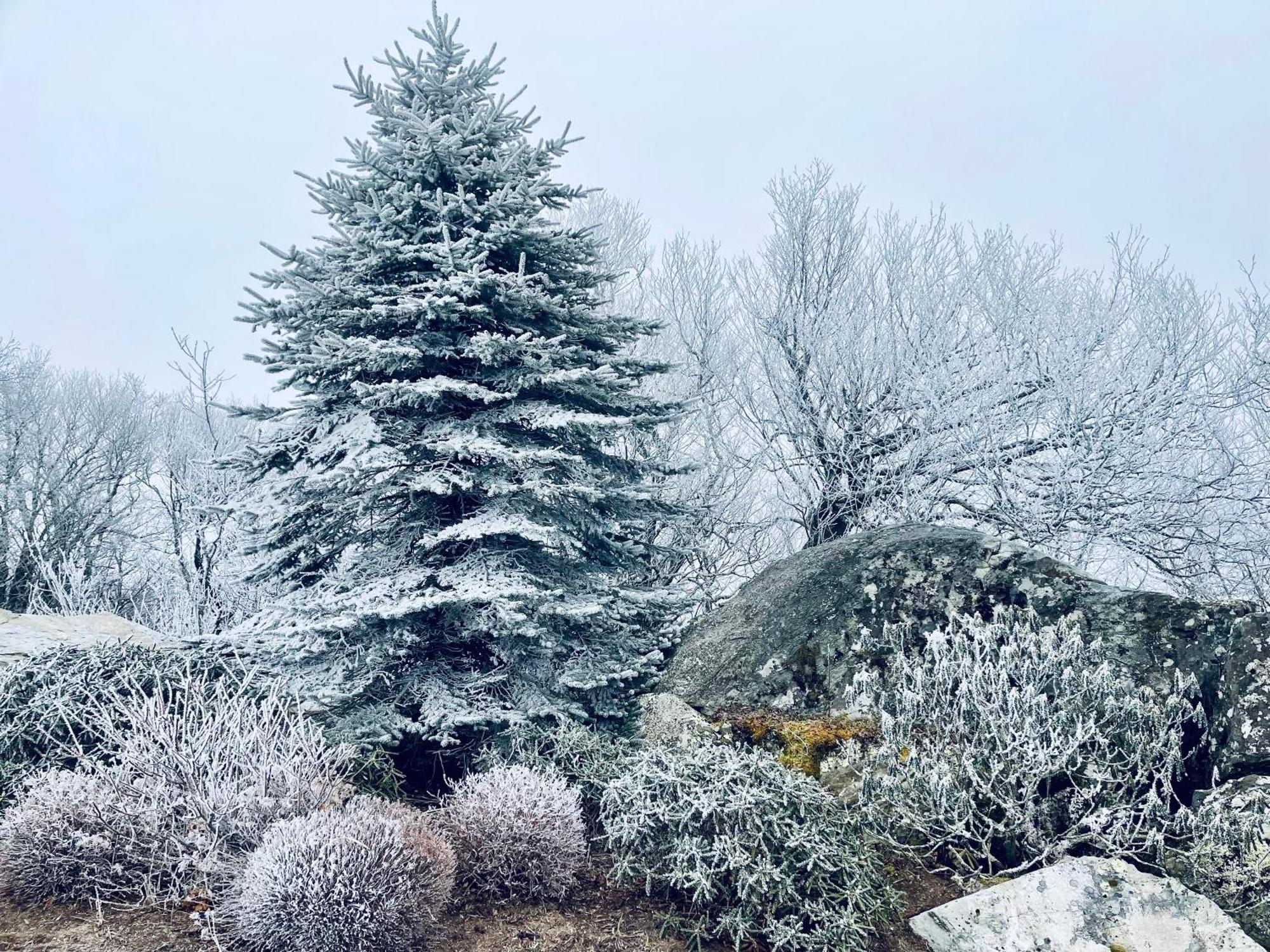 Bucket List Views Sugar Mountain Private Condo - 2Bed, 2Bath, Sleeps 6, Panoramic Views Of Mountains From Large Deck, Short Drive To Shopping, Restaurants, Cafes & Banner Elk Town Eksteriør billede